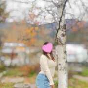 ヒメ日記 2025/11/15 08:19 投稿 みずほ 浜松駅前ちゃんこ