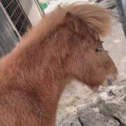 ヒメ日記 2026/03/23 18:29 投稿 みずほ 浜松駅前ちゃんこ