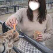 ヒメ日記 2026/04/13 18:29 投稿 みずほ 浜松駅前ちゃんこ