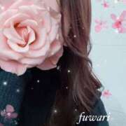 ヒメ日記 2024/12/09 02:18 投稿 ふわり ごほうびSPA京都店