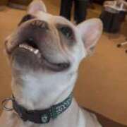 ヒメ日記 2025/07/15 16:58 投稿 ゆき ごほうびSPA京都店