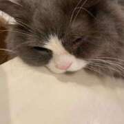 ヒメ日記 2026/04/13 20:58 投稿 ゆき ごほうびSPA京都店