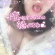 ヒメ日記 2024/12/15 12:42 投稿 大槻むう 大阪ぽっちゃり妻 谷九店