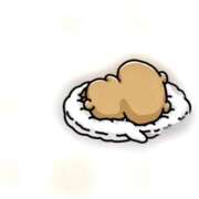 ヒメ日記 2024/12/15 10:46 投稿 ♡ひかり♡ 梅田ムチぽよ女学院