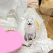 ヒメ日記 2026/04/04 22:53 投稿 ♡ひかり♡ 梅田ムチぽよ女学院