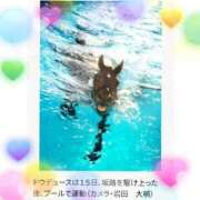 ヒメ日記 2024/12/16 15:17 投稿 倉本 熟女の風俗最終章 横浜本店