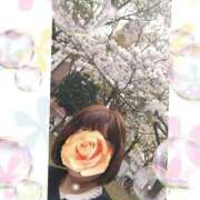 ヒメ日記 2025/04/04 20:34 投稿 倉本 熟女の風俗最終章 横浜本店