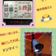 ヒメ日記 2025/05/04 18:06 投稿 倉本 熟女の風俗最終章 横浜本店