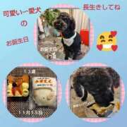 ヒメ日記 2025/11/16 12:54 投稿 倉本 熟女の風俗最終章 横浜本店