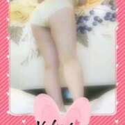 ヒメ日記 2026/02/12 07:44 投稿 倉本 熟女の風俗最終章 横浜本店