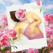 ヒメ日記 2026/02/25 08:34 投稿 倉本 熟女の風俗最終章 横浜本店