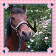 ヒメ日記 2026/05/28 16:54 投稿 倉本 熟女の風俗最終章 横浜本店