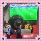 ヒメ日記 2026/06/15 06:54 投稿 倉本 熟女の風俗最終章 横浜本店