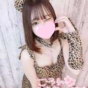 まい ラスト❣️ アラカルト