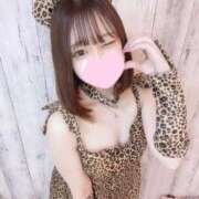 まい にゃ🐾 アラカルト