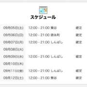 なぁこ なぁこ🐰出勤日 世界のあんぷり亭 新橋店