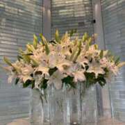 神条 心ヴィーナス奇跡の女！！ 🙇‍♀️ ファーストクラス ルビー