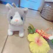 ヒメ日記 2025/07/22 10:43 投稿 石田 ゆりな神ＳＧ有村架純激似 ファーストクラス ルビー