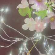 ヒメ日記 2025/09/11 15:23 投稿 石田 ゆりな神ＳＧ有村架純激似 ファーストクラス ルビー