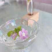 ヒメ日記 2025/11/12 18:55 投稿 石田 ゆりな神ＳＧ有村架純激似 ファーストクラス ルビー