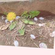 ヒメ日記 2026/04/02 22:19 投稿 石田 ゆりな神ＳＧ有村架純激似 ファーストクラス ルビー