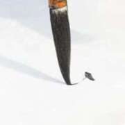 ヒメ日記 2024/12/12 07:13 投稿 杉並 まりえ神アイドル7万回再生 ファーストクラス ルビー