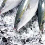 ヒメ日記 2024/12/20 07:03 投稿 杉並 まりえ神アイドル7万回再生 ファーストクラス ルビー