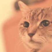 ヒメ日記 2025/01/03 07:13 投稿 杉並 まりえ神アイドル7万回再生 ファーストクラス ルビー