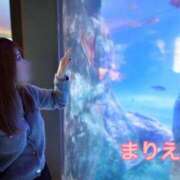 ヒメ日記 2025/03/01 06:45 投稿 杉並 まりえ神アイドル7万回再生 ファーストクラス ルビー