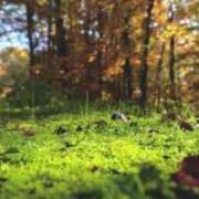 ヒメ日記 2025/03/05 06:06 投稿 杉並 まりえ神アイドル7万回再生 ファーストクラス ルビー