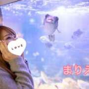 ヒメ日記 2025/03/11 06:43 投稿 杉並 まりえ神アイドル7万回再生 ファーストクラス ルビー