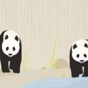 ヒメ日記 2025/03/11 07:13 投稿 杉並 まりえ神アイドル7万回再生 ファーストクラス ルビー