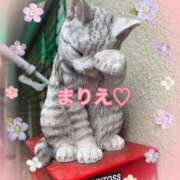 ヒメ日記 2025/05/03 21:19 投稿 杉並 まりえ神アイドル7万回再生 ファーストクラス ルビー