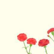 ヒメ日記 2025/05/11 07:13 投稿 杉並 まりえ神アイドル7万回再生 ファーストクラス ルビー