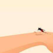 ヒメ日記 2025/08/20 07:17 投稿 杉並 まりえ神アイドル7万回再生 ファーストクラス ルビー