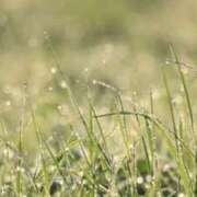 ヒメ日記 2025/09/07 07:13 投稿 杉並 まりえ神アイドル7万回再生 ファーストクラス ルビー