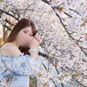 ヒメ日記 2026/04/20 08:04 投稿 杉並 まりえ神アイドル7万回再生 ファーストクラス ルビー
