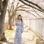 ヒメ日記 2026/04/23 08:33 投稿 杉並 まりえ神アイドル7万回再生 ファーストクラス ルビー