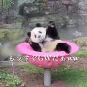 ヒメ日記 2026/04/30 09:03 投稿 杉並 まりえ神アイドル7万回再生 ファーストクラス ルビー