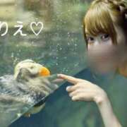 ヒメ日記 2026/08/14 13:23 投稿 杉並 まりえ神アイドル7万回再生 ファーストクラス ルビー