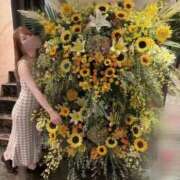 ヒメ日記 2026/08/15 21:50 投稿 杉並 まりえ神アイドル7万回再生 ファーストクラス ルビー