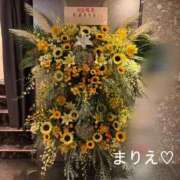 ヒメ日記 2026/08/16 10:53 投稿 杉並 まりえ神アイドル7万回再生 ファーストクラス ルビー
