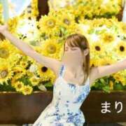 ヒメ日記 2026/08/26 23:33 投稿 杉並 まりえ神アイドル7万回再生 ファーストクラス ルビー
