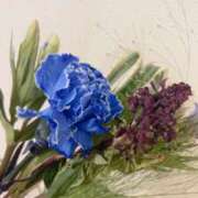 ヒメ日記 2024/12/08 07:13 投稿 小高 ひまり完全に可愛い美少女 ファーストクラス ルビー