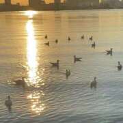 ヒメ日記 2025/01/21 10:43 投稿 小高 ひまり完全に可愛い美少女 ファーストクラス ルビー