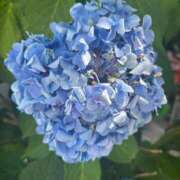 ヒメ日記 2025/06/23 03:13 投稿 小高 ひまり完全に可愛い美少女 ファーストクラス ルビー