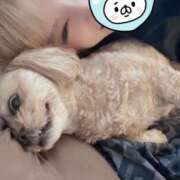 ヒメ日記 2025/04/07 16:53 投稿 大柴 るう　★★★ ファーストクラス ルビー