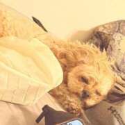 ヒメ日記 2025/05/05 18:23 投稿 大柴 るう　★★★ ファーストクラス ルビー