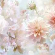 ヒメ日記 2025/08/30 06:47 投稿 赤羽 あづなレアプリンセス激かわ ファーストクラス ルビー