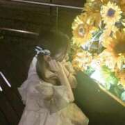 ヒメ日記 2025/09/26 09:43 投稿 小泉 つくし気品漂うお嬢様系Ｍ ファーストクラス ルビー